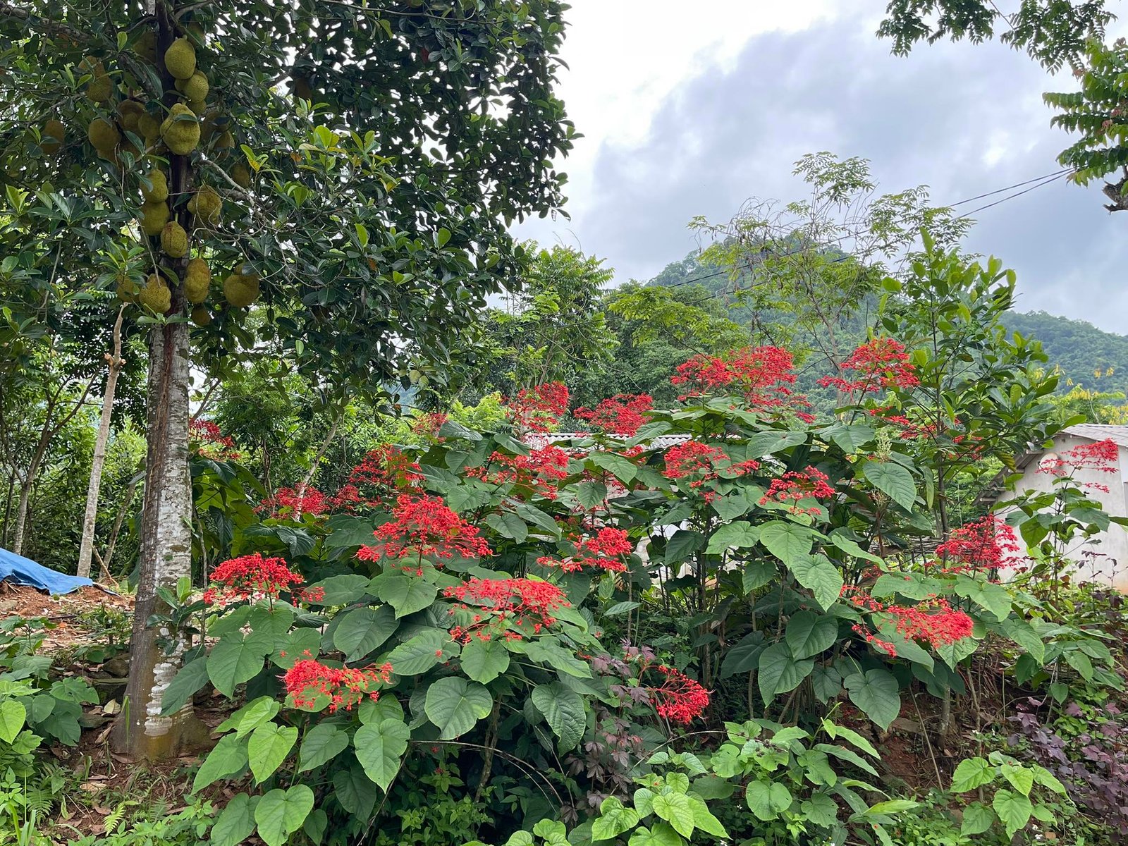 Family Friendly Cycling Holiday Vietnam: The Ultimate Guide